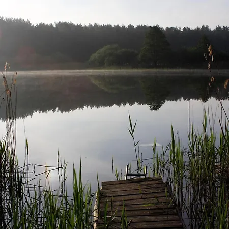 Reihenhaus Tulpe In Lohmen *