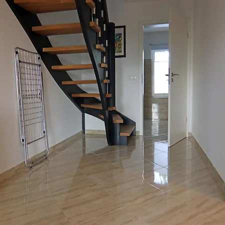 Reihenhaus Tulpe In Lohmen Garden