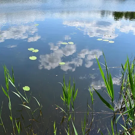 بيت للعطل Reihenhaus Tulpe In Lohmen *