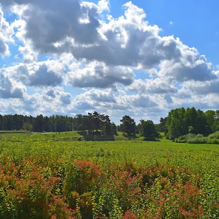 Reihenhaus Tulpe In Lohmen *